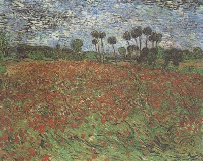 Vincent Van Gogh Field with Poppies (nn04) China oil painting art